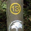 13. Internationaler Waldkunstpfad